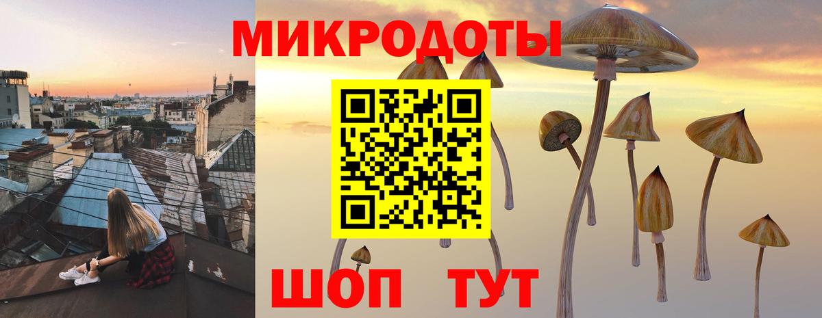 Лабинск  Галлюциногенные грибы мицелий  Вход с VPN  Псилоцибиновые грибы Psilocybe 